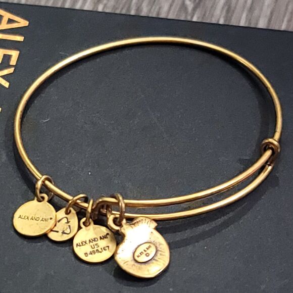 Alex and Ani Apple of Abundance Charm Bracelet - Picture 9 of 11